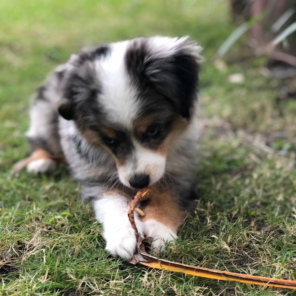 Meet your Posher, Vivian